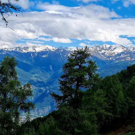 Апартаменты Elevate *