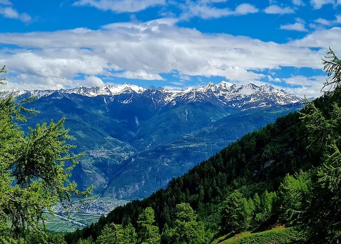 Апартаменты Elevate *